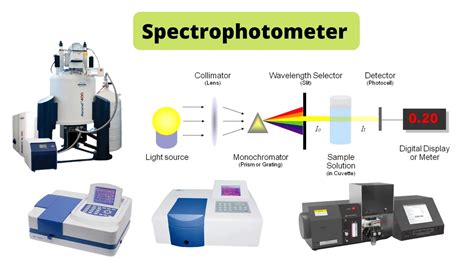 0 in 10 mM TrisCl, pH 8. . Quantification of dna by spectrophotometer pdf
